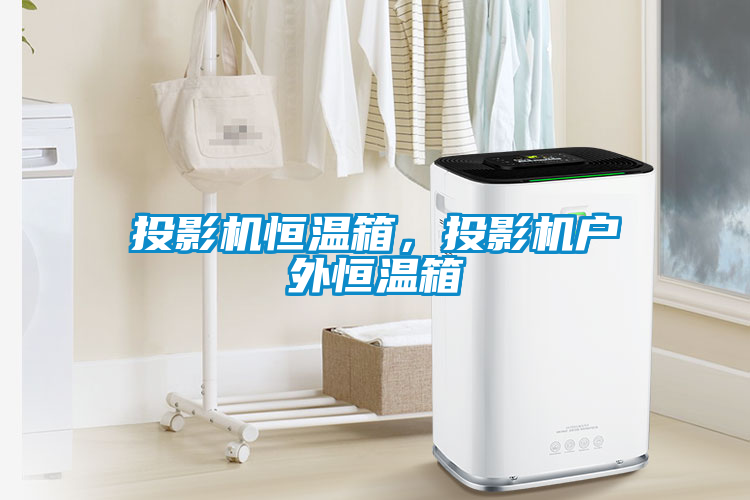 投影機(jī)恒溫箱,投影機(jī)戶外恒溫箱