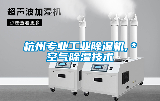 杭州專業(yè)工業(yè)除濕機(jī),＊空氣除濕技術(shù)