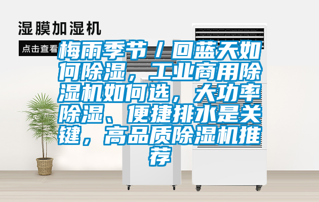 梅雨季節(jié)／回藍(lán)天如何除濕，工業(yè)商用除濕機(jī)如何選，大功率除濕、便捷排水是關(guān)鍵，高品質(zhì)除濕機(jī)推薦