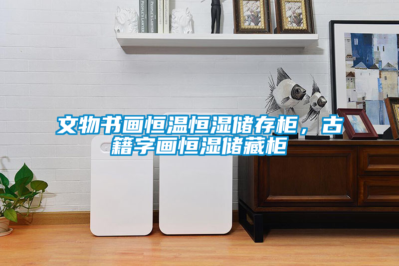 文物書(shū)畫(huà)恒溫恒濕儲(chǔ)存柜，古籍字畫(huà)恒濕儲(chǔ)藏柜