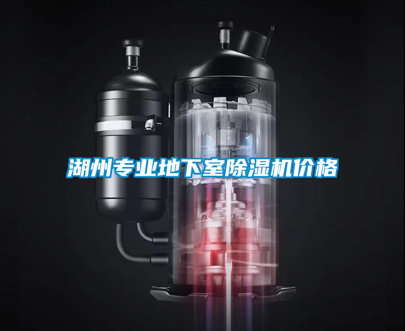 湖州專業(yè)地下室除濕機價格