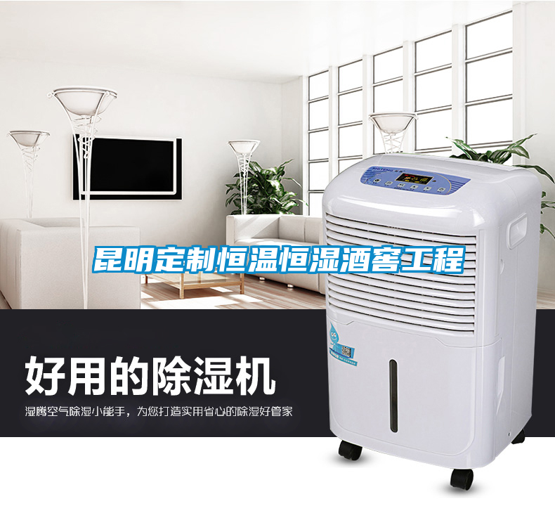 昆明定制恒溫恒濕酒窖工程