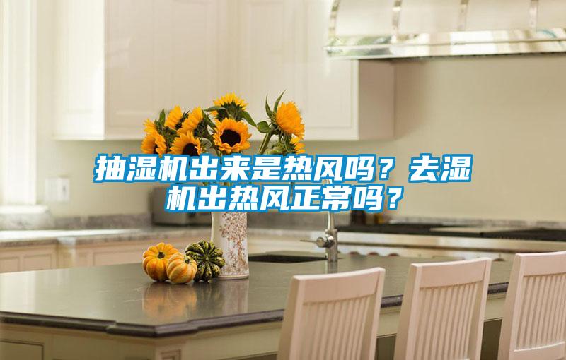 抽濕機出來是熱風嗎？去濕機出熱風正常嗎？