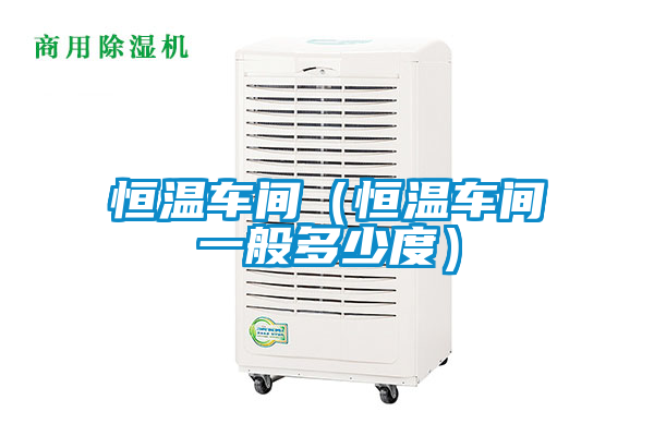 恒溫車(chē)間(恒溫車(chē)間一般多少度)