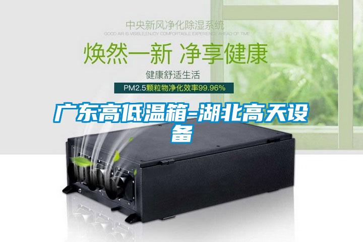 廣東高低溫箱-湖北高天設備