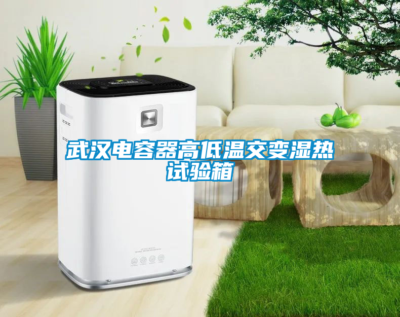 武漢電容器高低溫交變濕熱試驗箱