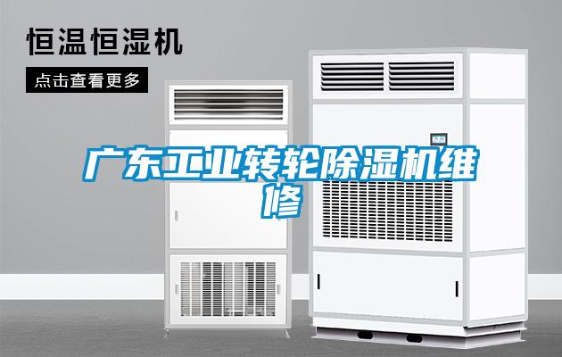 廣東工業(yè)轉(zhuǎn)輪除濕機維修