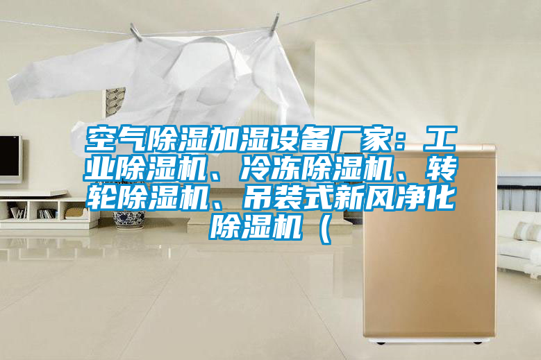 空氣除濕加濕設備廠家：工業除濕機、冷凍除濕機、轉輪除濕機、吊裝式新風凈化除濕機（