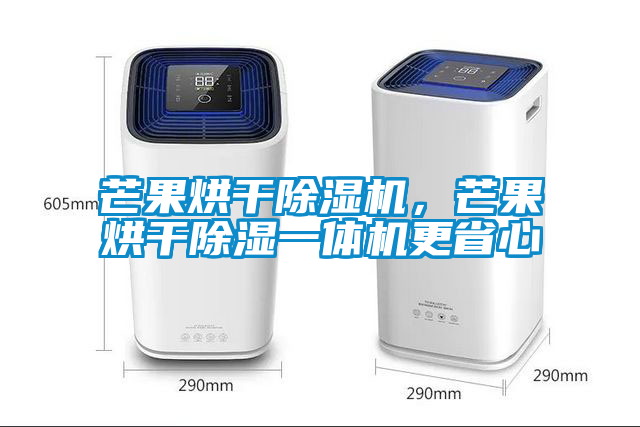 芒果烘干除濕機,芒果烘干除濕一體機更省心