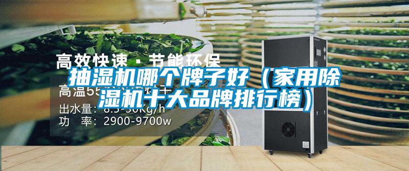 抽濕機哪個牌子好(家用除濕機十大品牌排行榜)