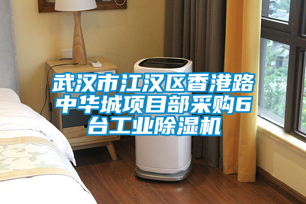 武漢市江漢區(qū)香港路中華城項目部采購6臺工業(yè)除濕機
