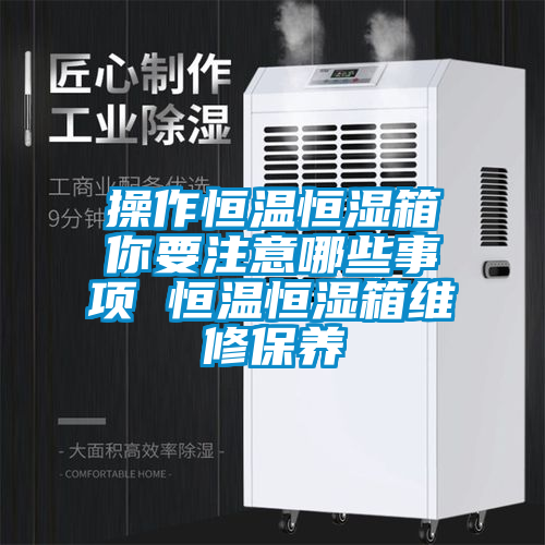 操作恒溫恒濕箱你要注意哪些事項 恒溫恒濕箱維修保養(yǎng)