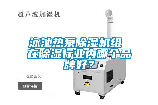 泳池熱泵除濕機組 在除濕行業內哪個品牌好？