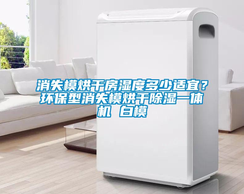 消失模烘干房濕度多少適宜?環(huán)保型消失模烘干除濕一體機 白模