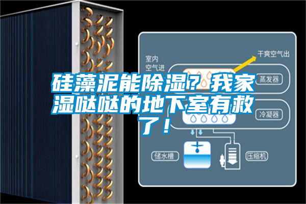 硅藻泥能除濕?我家濕噠噠的地下室有救了!
