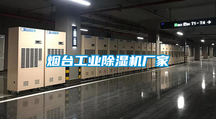 煙臺工業除濕機廠家