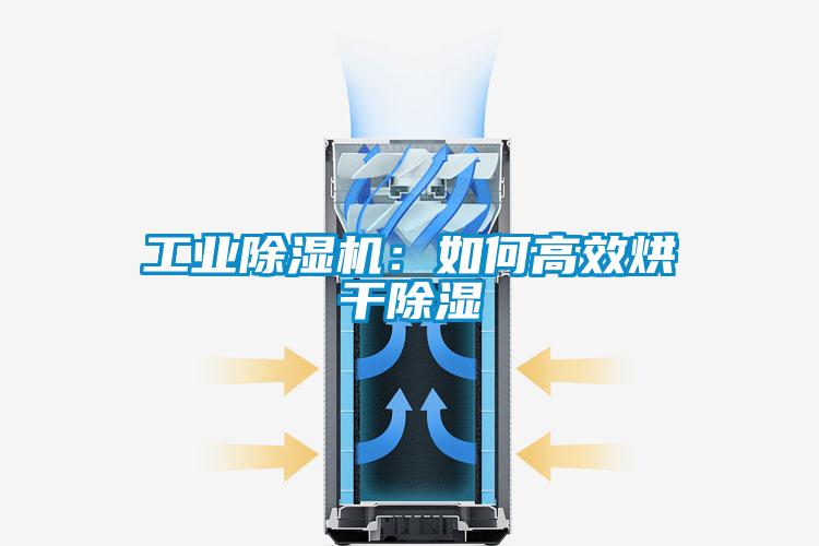 工業除濕機：如何高效烘干除濕