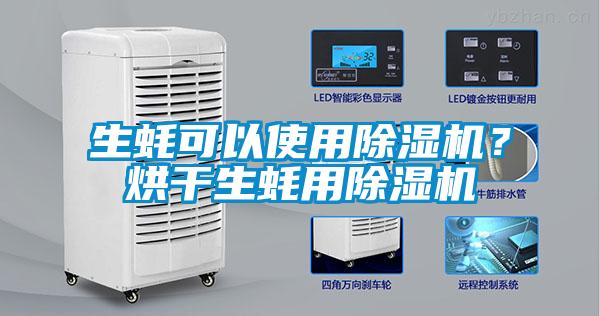 生蠔可以使用除濕機？烘干生蠔用除濕機