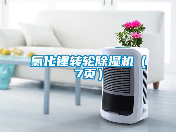 氯化鋰轉(zhuǎn)輪除濕機(jī)（7頁）
