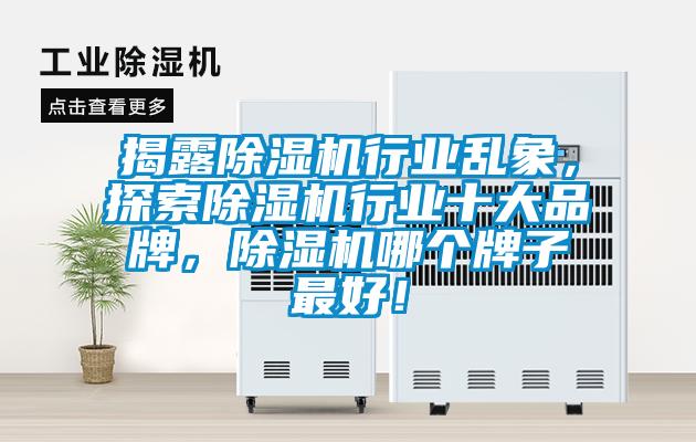 揭露除濕機行業亂象，探索除濕機行業十大品牌，除濕機哪個牌子最好！