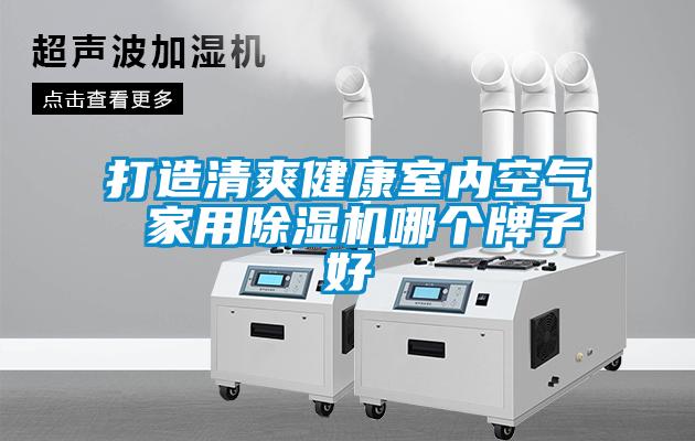 打造清爽健康室內空氣 家用除濕機哪個牌子好
