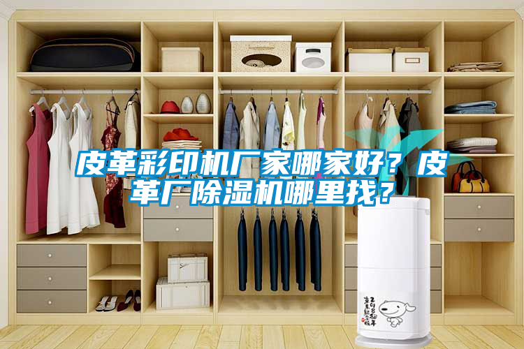 皮革彩印機廠家哪家好?皮革廠除濕機哪里找?