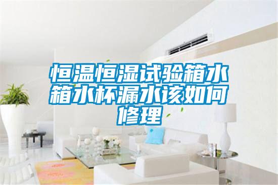 恒溫恒濕試驗(yàn)箱水箱水杯漏水該如何修理