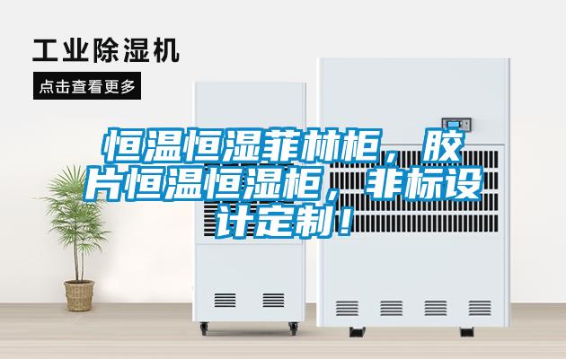 恒溫恒濕菲林柜，膠片恒溫恒濕柜，非標設計定制！