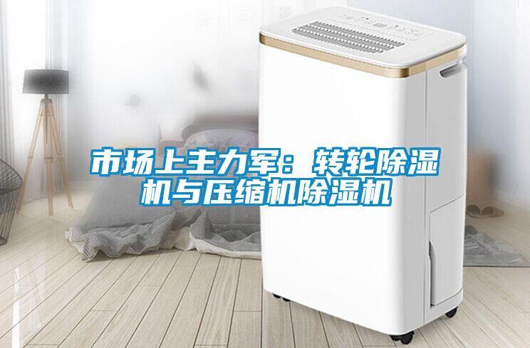 市場上主力軍：轉輪除濕機與壓縮機除濕機