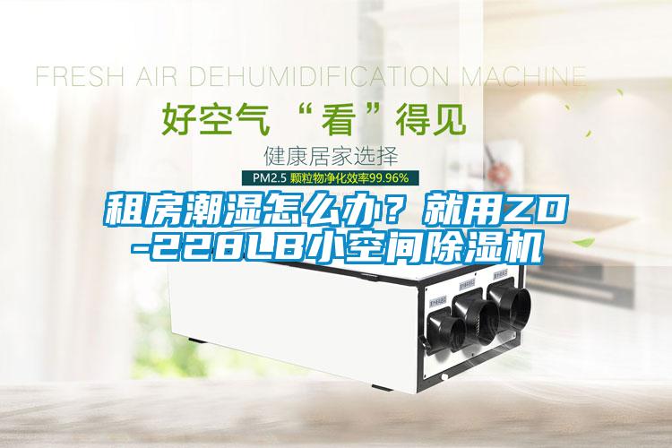 租房潮濕怎么辦？就用ZD-228LB小空間除濕機