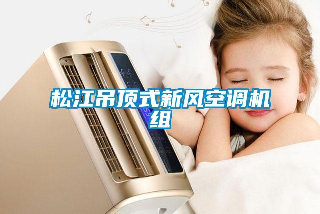 松江吊頂式新風空調機組