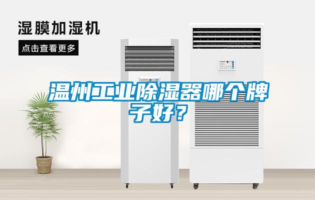 溫州工業除濕器哪個牌子好？
