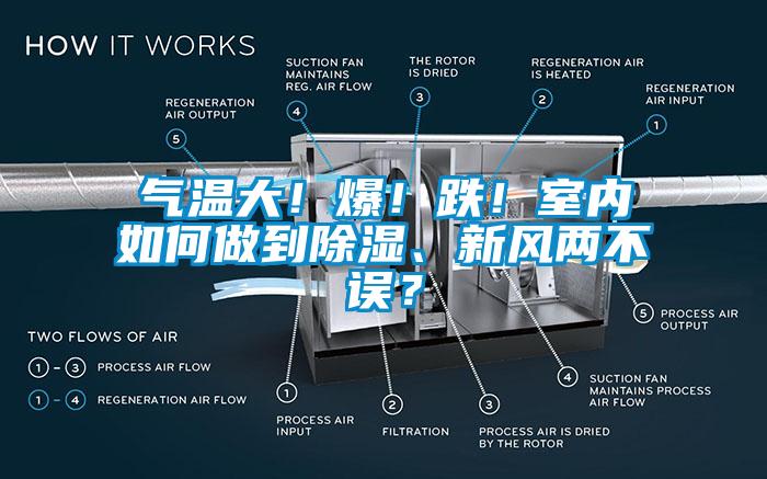 氣溫大！爆！跌！室內如何做到除濕、新風兩不誤？
