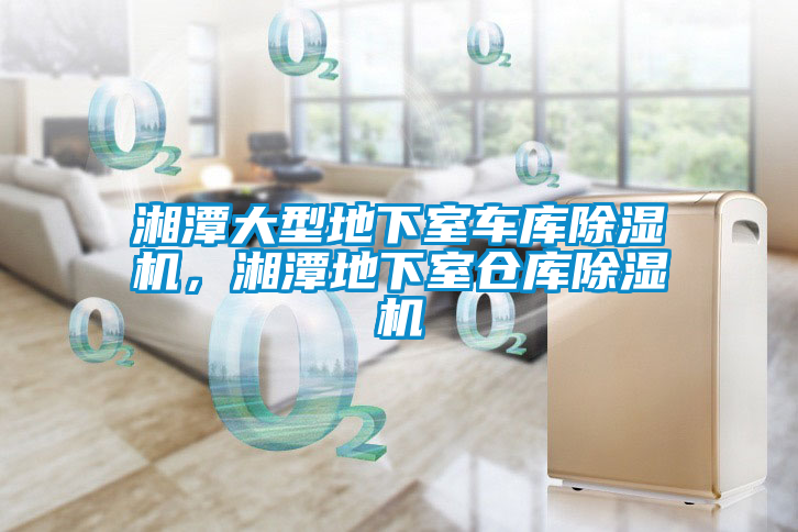 湘潭大型地下室車庫(kù)除濕機(jī)，湘潭地下室倉(cāng)庫(kù)除濕機(jī)