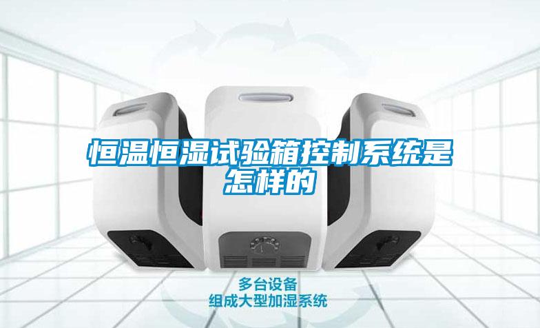 恒溫恒濕試驗箱控制系統是怎樣的