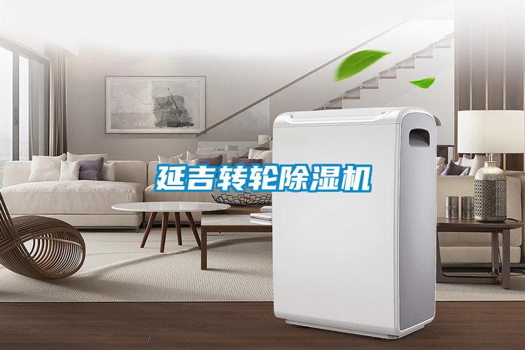 延吉轉(zhuǎn)輪除濕機(jī)