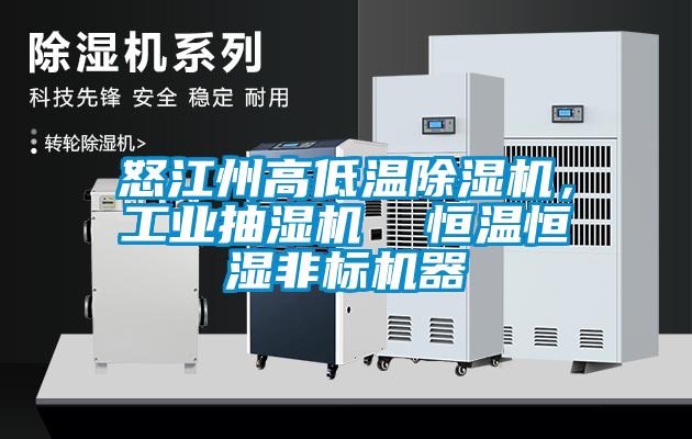 怒江州高低溫除濕機,工業(yè)抽濕機 恒溫恒濕非標機器