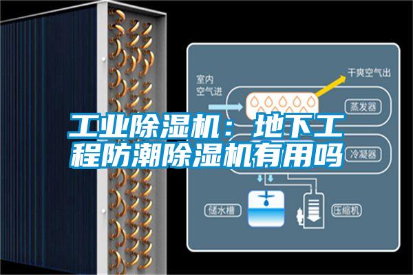 工業(yè)除濕機(jī):地下工程防潮除濕機(jī)有用嗎