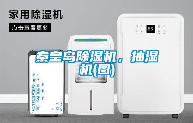 秦皇島除濕機(jī)，抽濕機(jī)(圖)