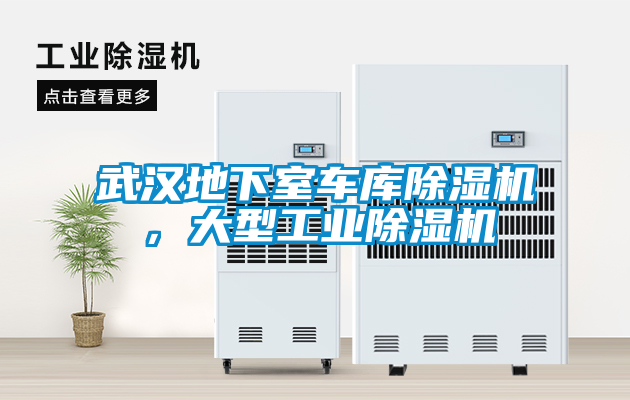 武漢地下室車庫除濕機，大型工業除濕機