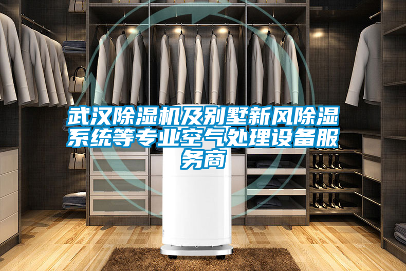 武漢除濕機及別墅新風除濕系統等專業(yè)空氣處理設備服務商