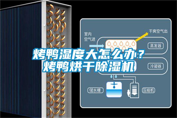 烤鴨濕度大怎么辦？烤鴨烘干除濕機