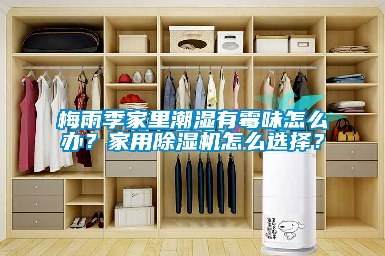 梅雨季家里潮濕有霉味怎么辦?家用除濕機怎么選擇?