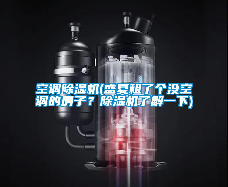 空調(diào)除濕機(jī)(盛夏租了個(gè)沒空調(diào)的房子？除濕機(jī)了解一下)