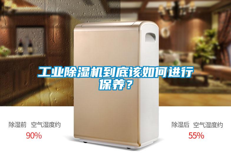 工業除濕機到底該如何進行保養？