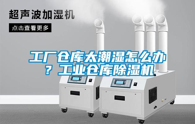 工廠倉庫太潮濕怎么辦？工業(yè)倉庫除濕機