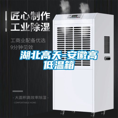 湖北高天-安徽高低溫箱