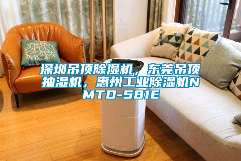 深圳吊頂除濕機(jī),東莞吊頂抽濕機(jī),惠州工業(yè)除濕機(jī)NMTD-581E