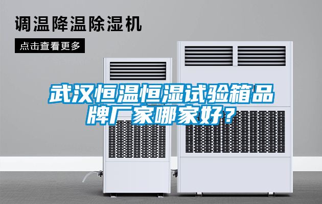 武漢恒溫恒濕試驗(yàn)箱品牌廠家哪家好？