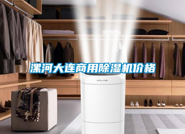 漯河大連商用除濕機價格